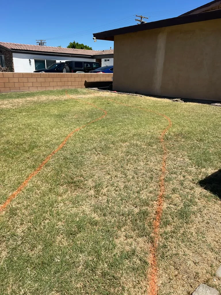 Outdoor space before full landscaping transformation — photo 7