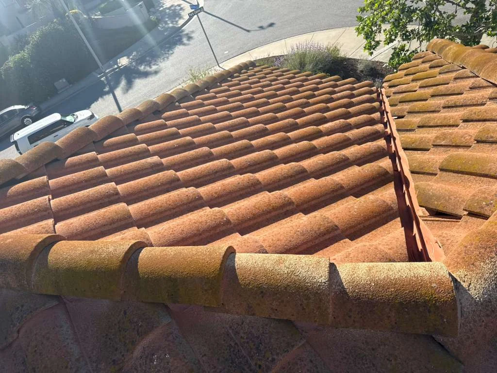 Roof reset photo 10