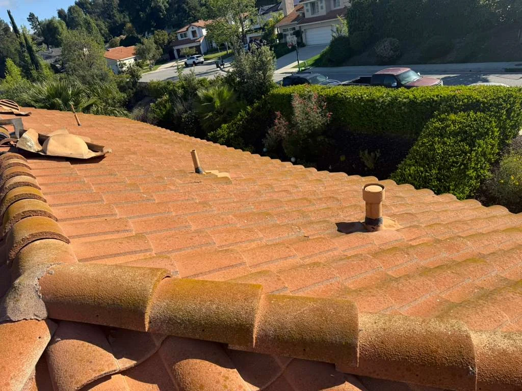 Roof reset photo 14