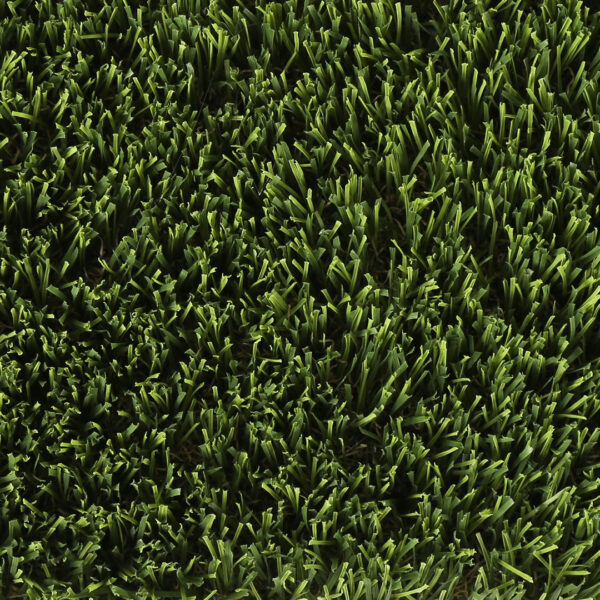 Sun Turf USA Monterey turf